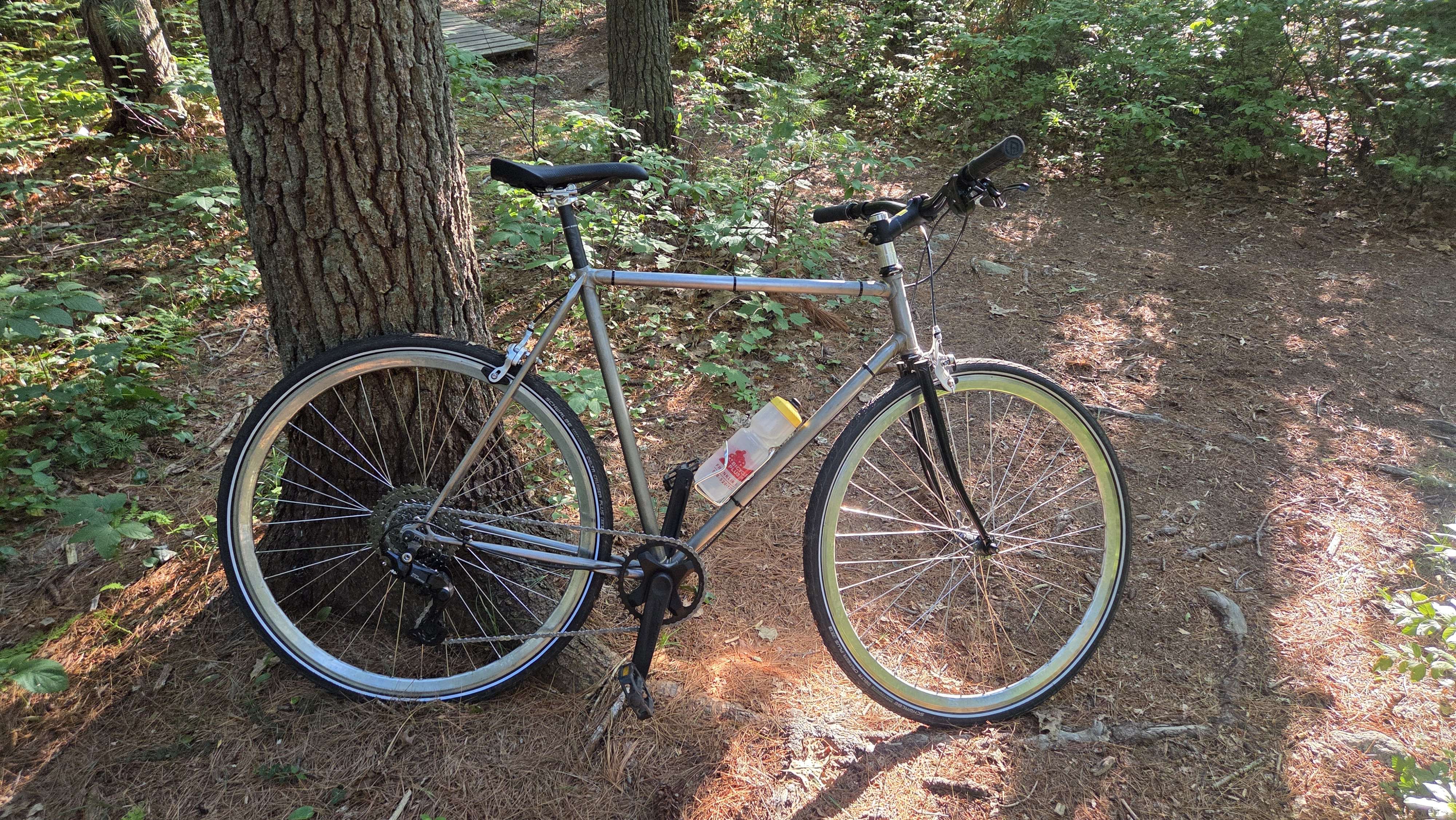 Lugged steel all-road bicycle on a forest trail